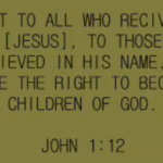 Picture 26